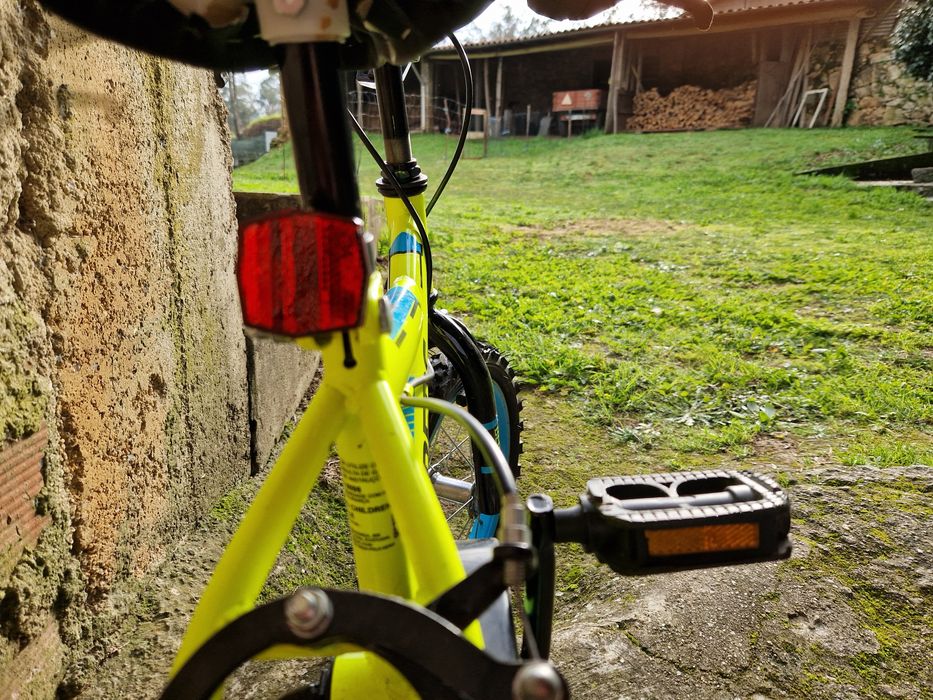 Bicicleta criança BERG