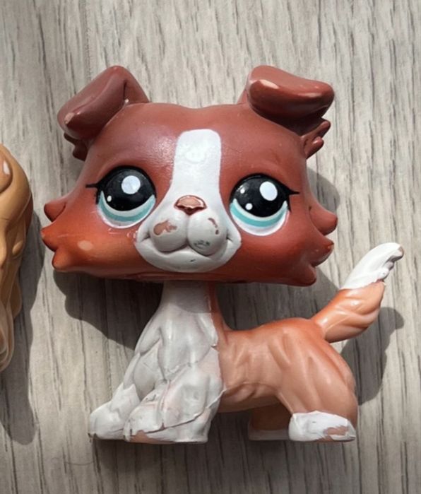 Lps ruda collie 1542
