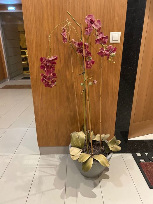 Vaso decorativo Orquídeas