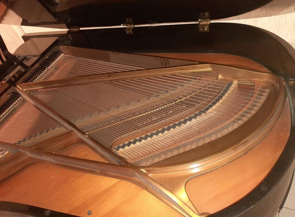 STEINWAY ( Grotrian Steinweg ) 200 cm