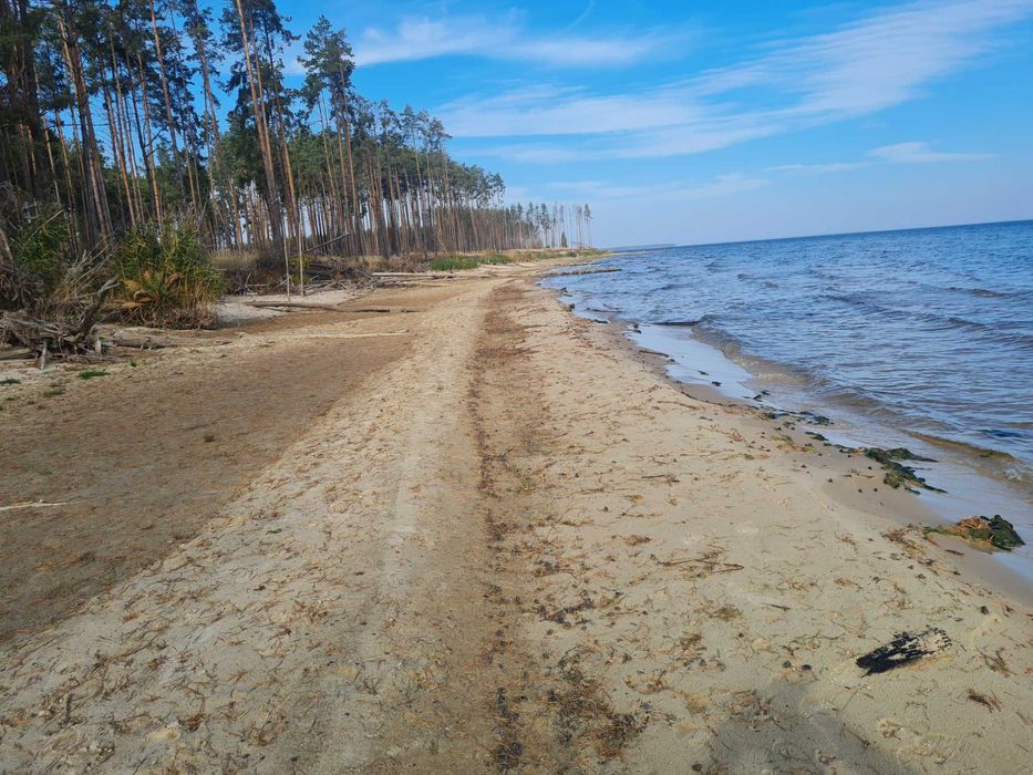 База відпочинку під Києвом, школа, дитячий садок, реабілітаційний центр