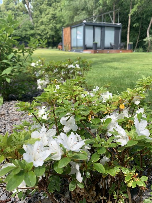 Domki Na Wynajem Glamping Jacuzzi Sauna Sesje Zdjęciowe wolne 2.01.