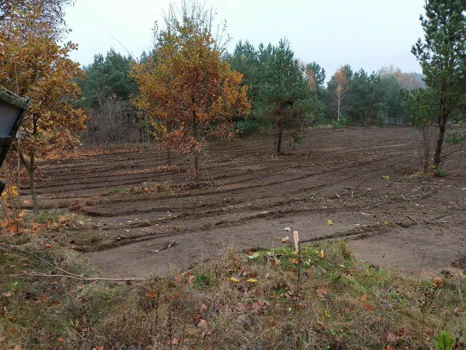 Czyszczenie działek wycinka drzew niwelacje rekultywacja  mulczer