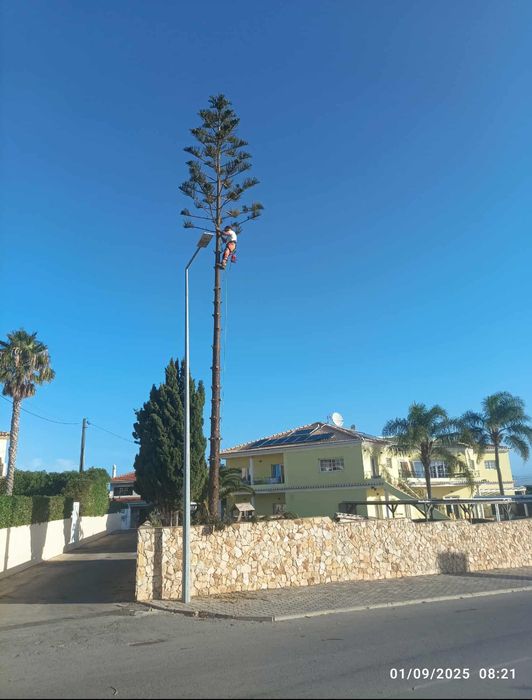 Resgate de drones em altura.