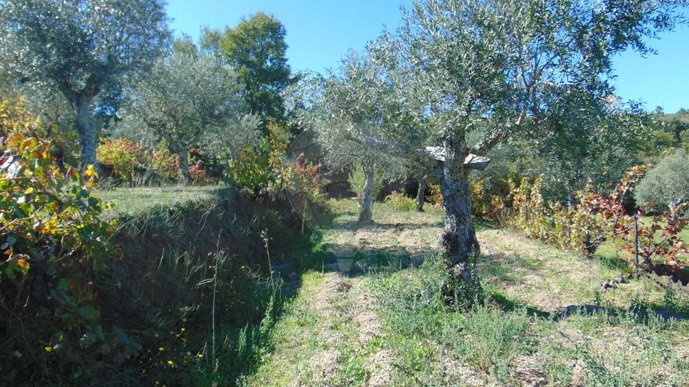Venda: Quinta em Celorico da Beira/ Vila Boa Do Mondego
