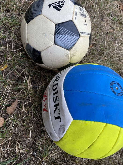 Мячи волейбольные 4