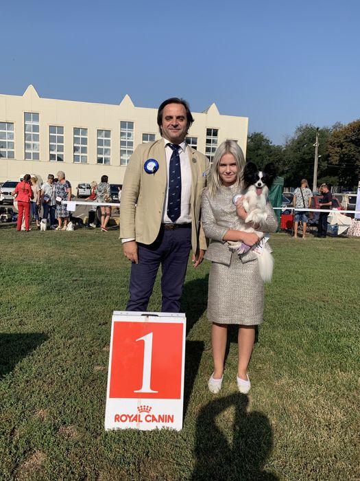 Профессиональный хендлер Одесса