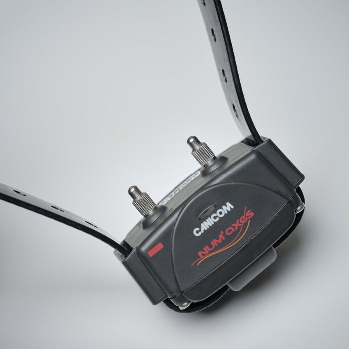 Coleira Telecomando de Adestramento para Cão Canicom 300 (Conjunto)