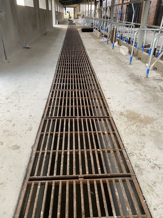 Wygrodzenia stanowiska dla bydła Jażmo uwięzi ,agrafka .łańcuch