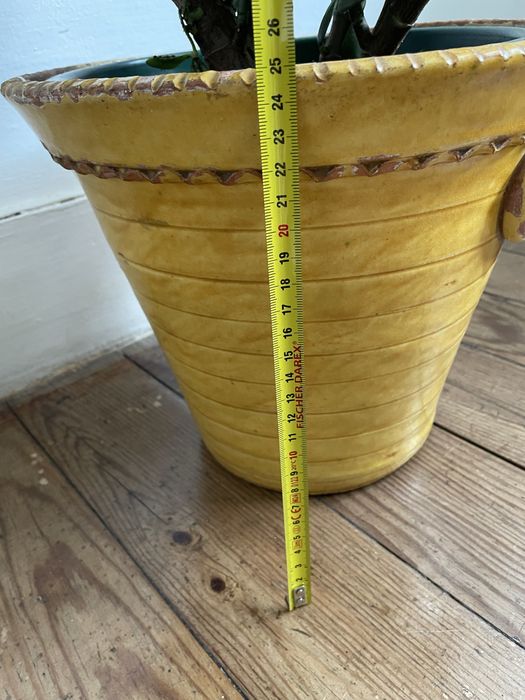 Planta natural com vaso