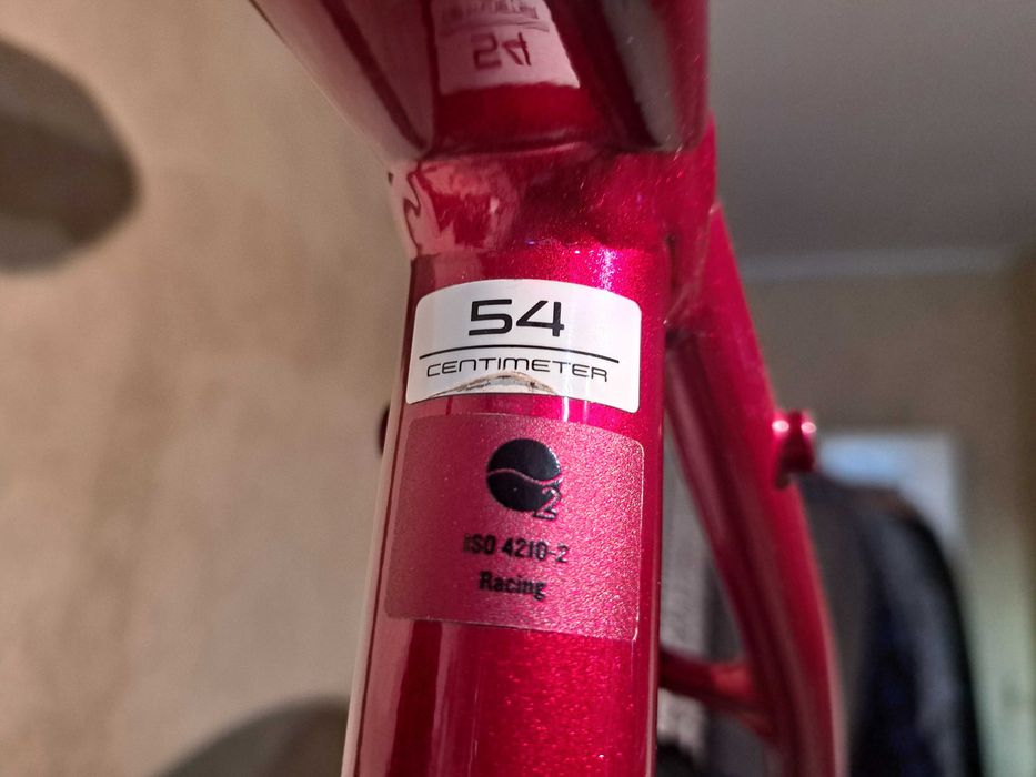 TREK Checkpoint ALR GRX 2x10 54 gravel/endurance Hydraulika Rage Red