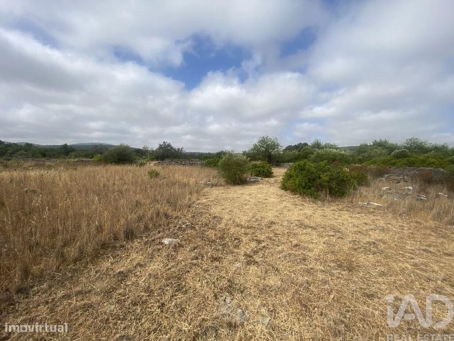 Terreno em Santa Catarina da Fonte do Bispo de 10000,00 m2