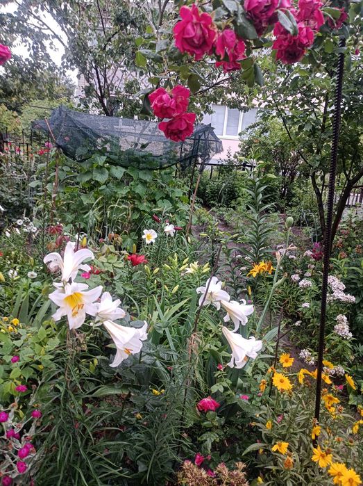 Продаж 3-кімнатної квартири в Слободі