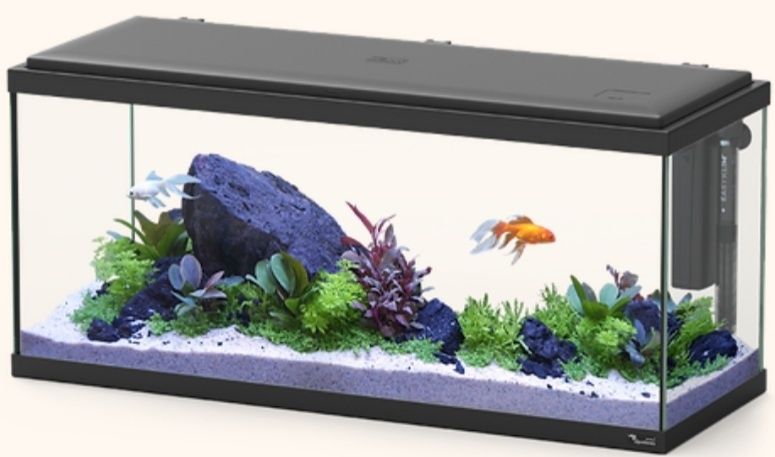 Aquarios para peixes