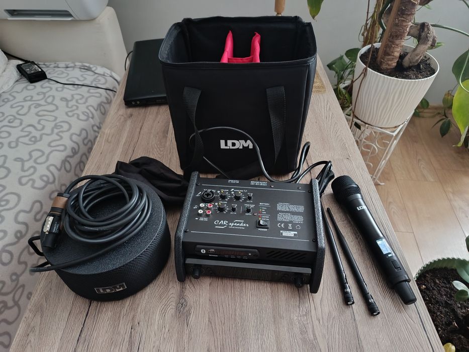 LDM Car Speaker, nagłośnienie