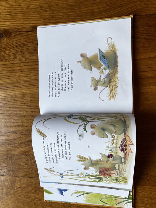 Детская книга