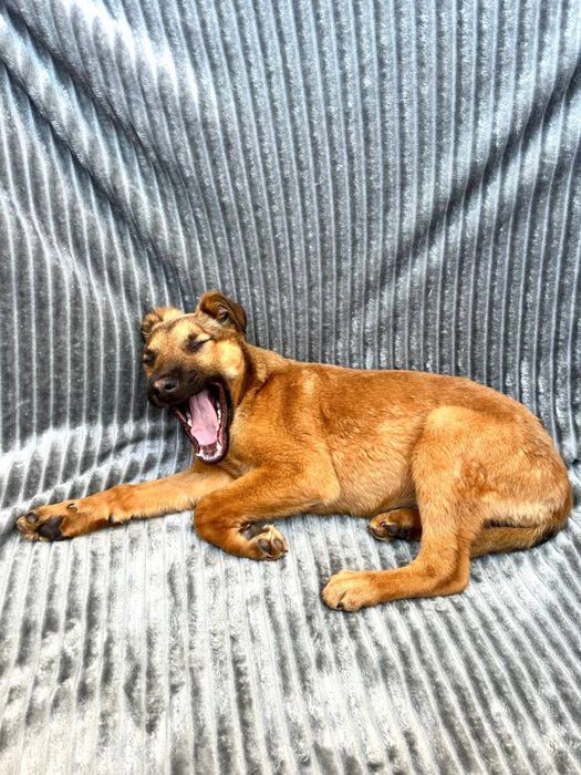 Неймовірно ніжна Амі шукає найкращих людей!