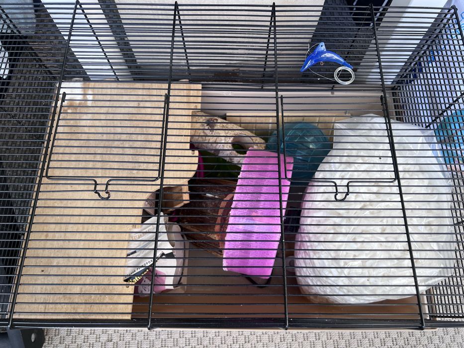 Klatka duza dla gryzoni