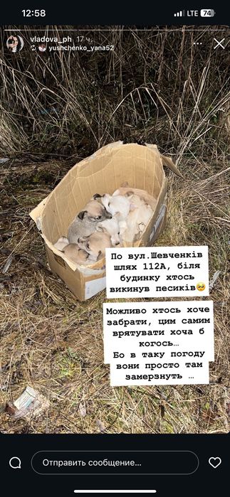 Дівчинка шукає родину