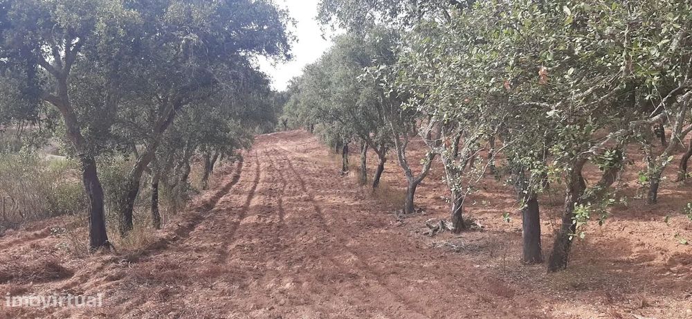 Terreno Rústico com Potencial Agrícola e de Lazer, Ourique, Beja