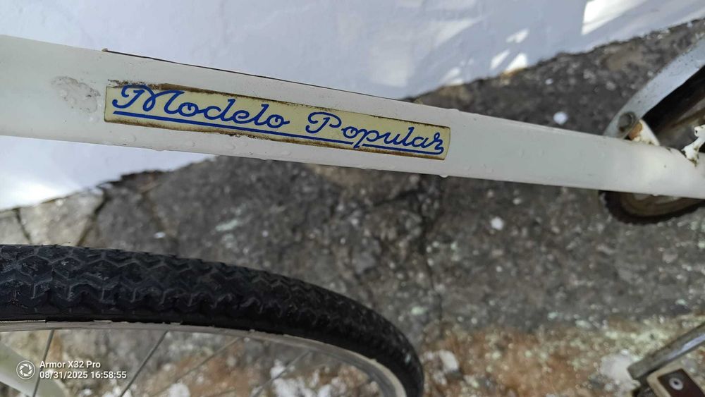 Bicicleta  Pasteleira Orbita