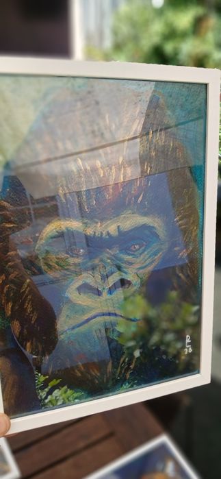 Quadros decorativos animais selvagens prints em alta resolução A4