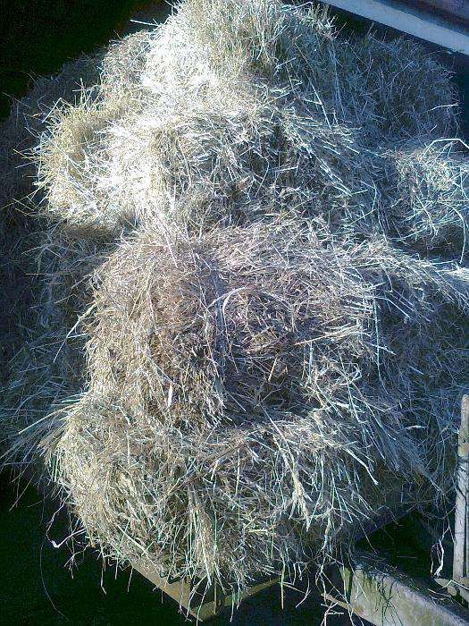 siano kostka z dowozem