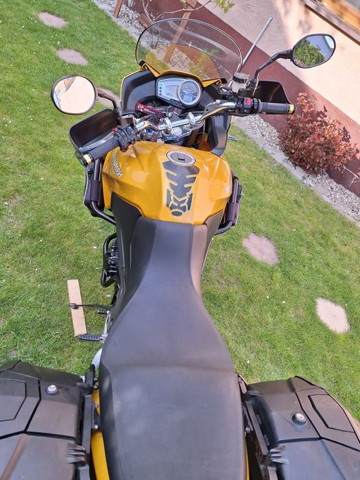Triumph tiger 1050 Ohlins Arrow Heed