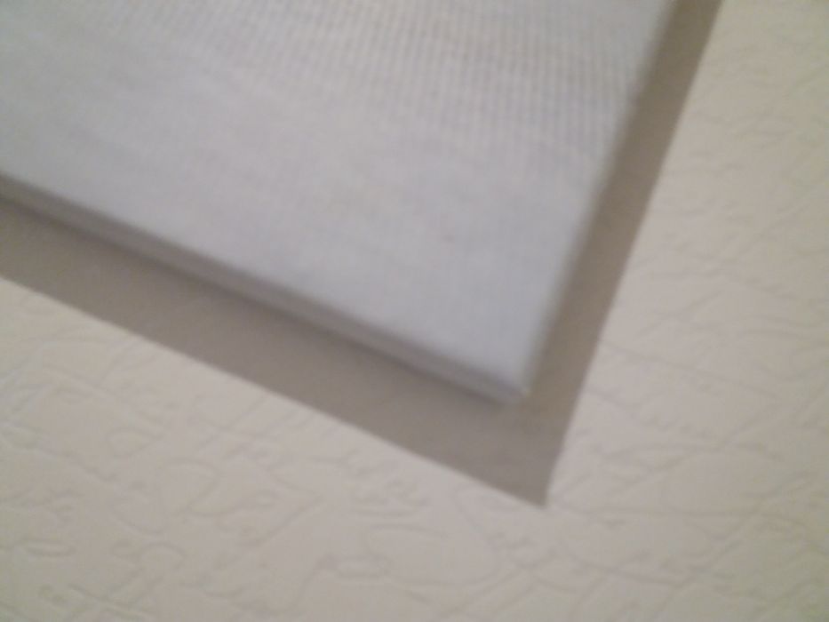 Obraz grafika na płótnie Kotek