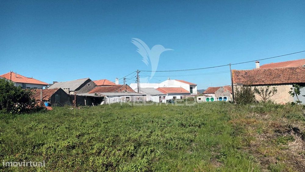 Terreno situado em Tojal, Porto de Mós — Batalha, Leiria