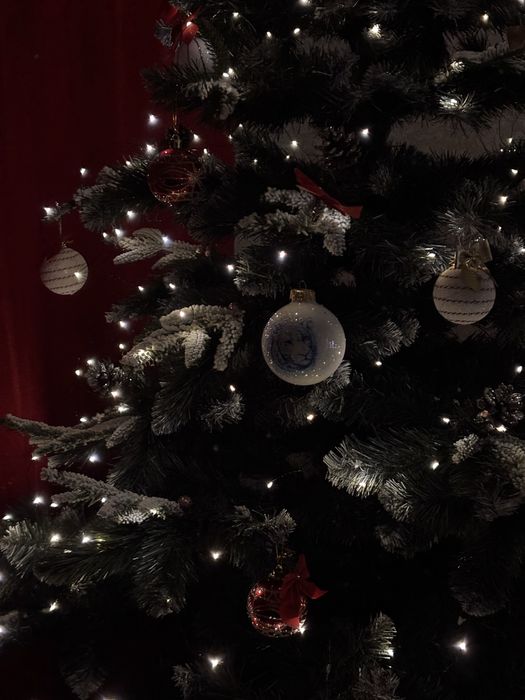 гірлянда Роса, 20 і 30 м