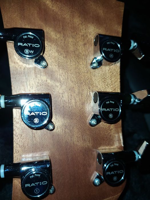 Gitara  Dowina Marus D z fishmann neo