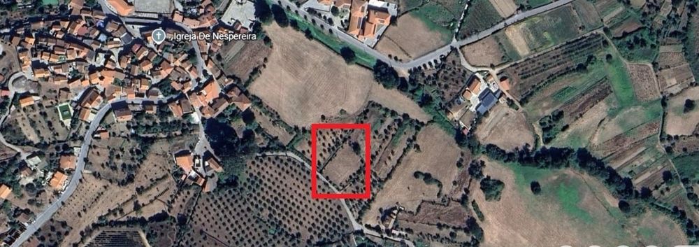 Terreno rústico perto serra da estrela