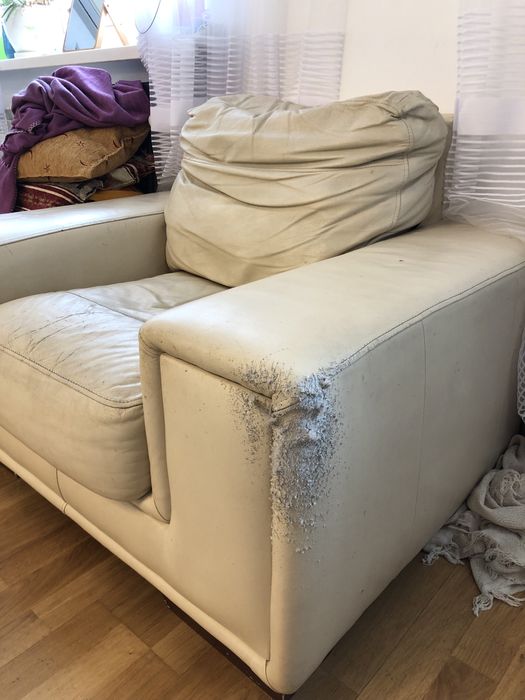 Крісло шкіряне (старе)