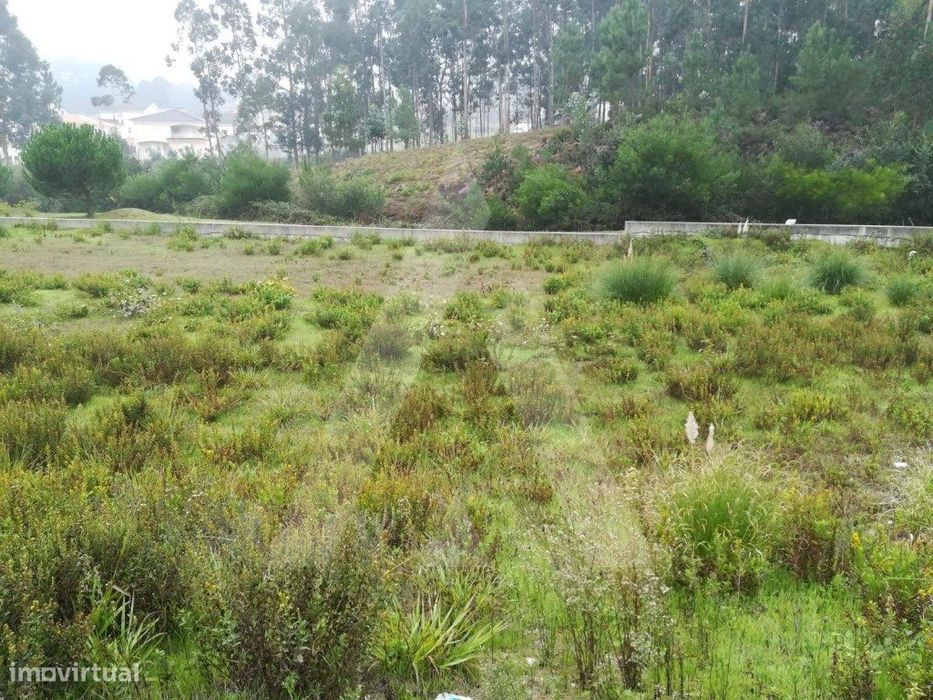 Terreno composto por 7 lotes em Santa Joana