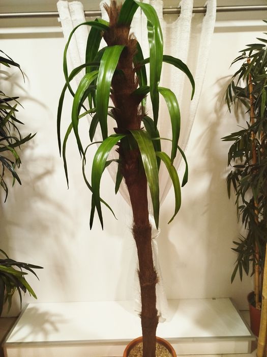 Planta Artificial