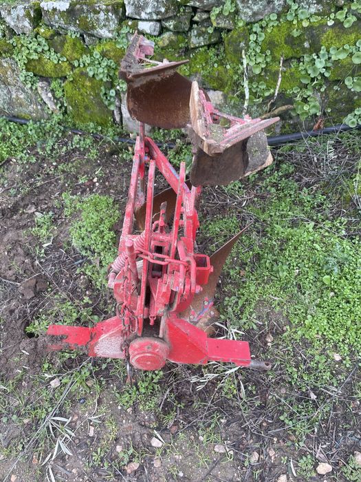 Charrua numero 8 marca ribatejo