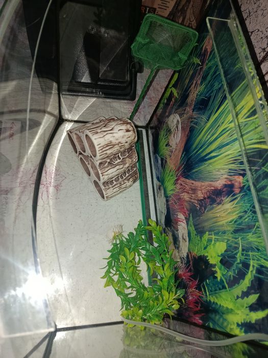 Аквариум 55 л укомплектован