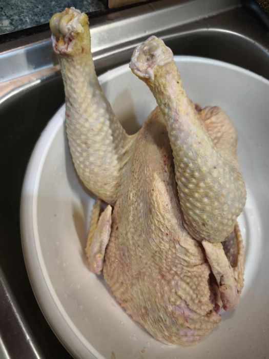 Tuszki kaczek oraz kogutów