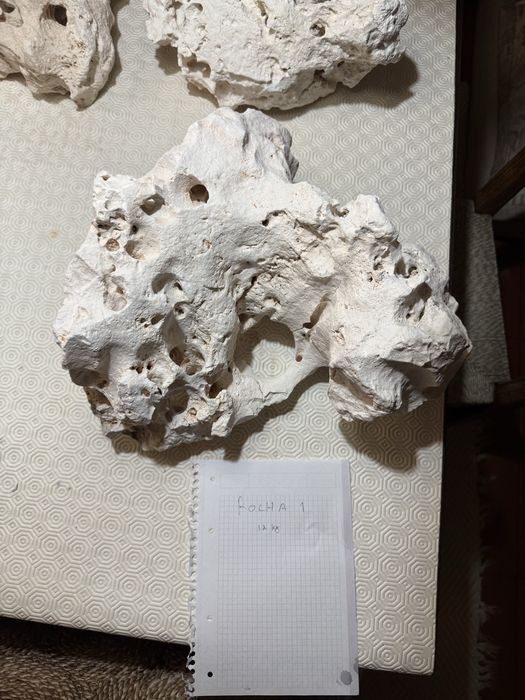 Rochas zanzibar aquario