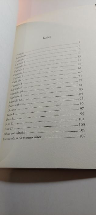 Porcalhices da Política - Adulcino Silva