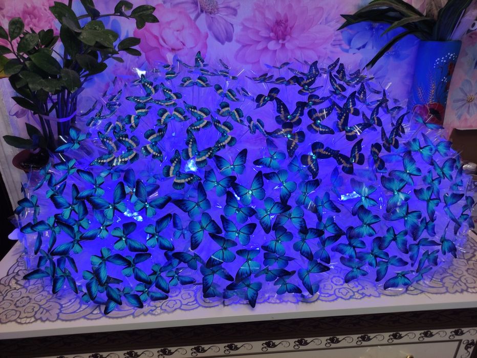 ХІТ Букет з метеликів, ромашок, Квіти на подарунок, сюрприз, бабочки