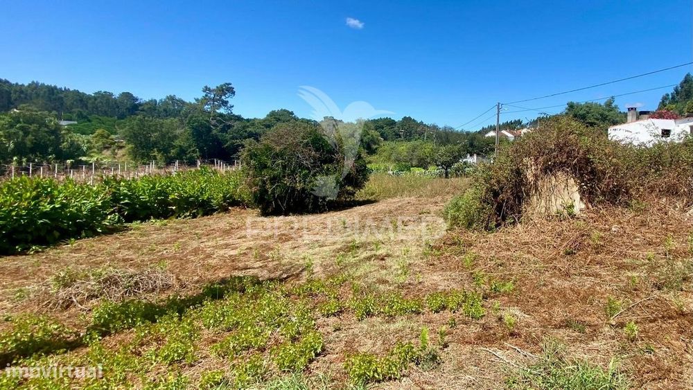 Ruina com Terreno Rio Maior - Abuxanas