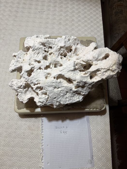 Rochas zanzibar aquario