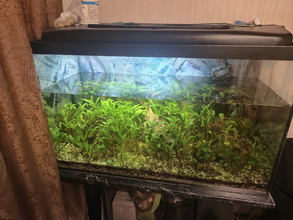 Продам Аквариум 240 литров с тумбой