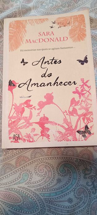 Antes do amanhecer livro