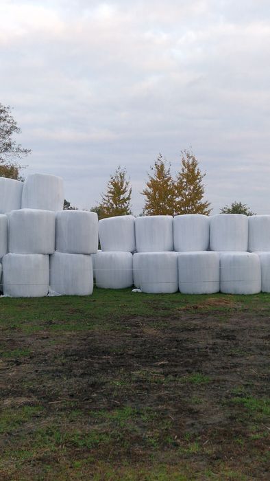 Sianokiszonka Możliwy transport