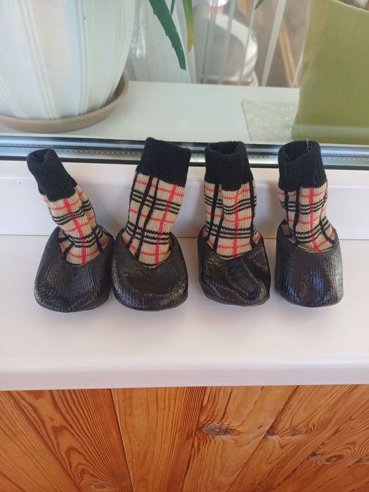 Продам Обувь для собак