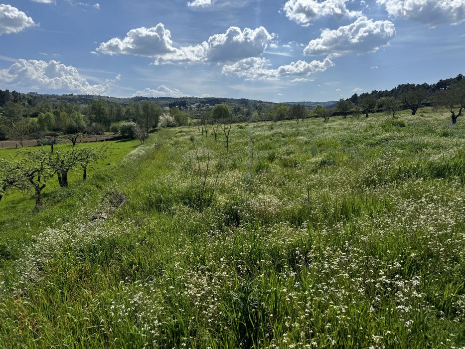 Terreno rustico entre Falachos e vale seixo, perto da estrada.
