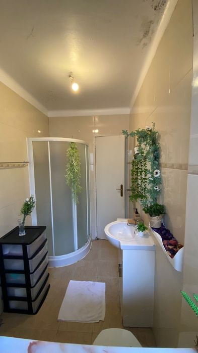 Quarto individual